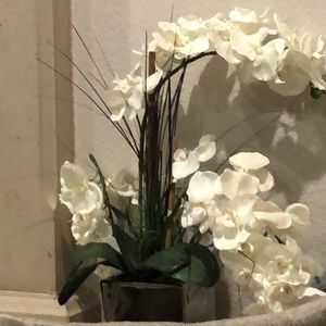 Meet your Posher, Taher